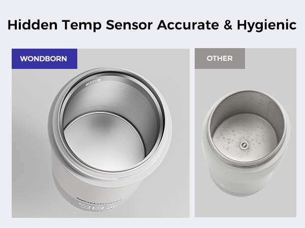 Hidden Temp Sensor